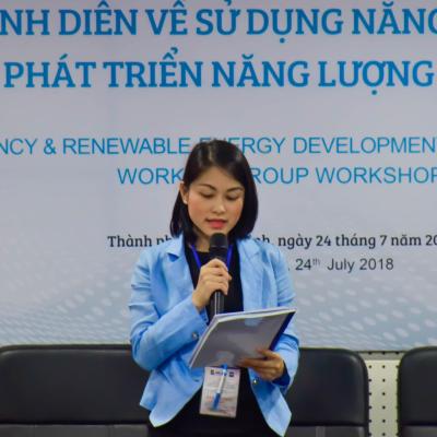 Energy efficiency & renewable energy demonstration project working group workshop 4